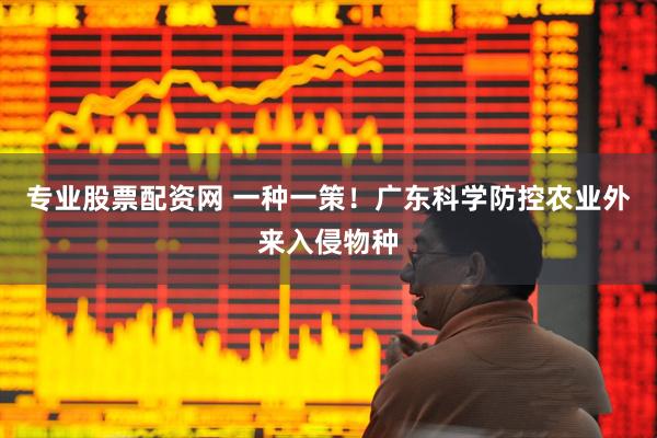 专业股票配资网 一种一策！广东科学防控农业外来入侵物种