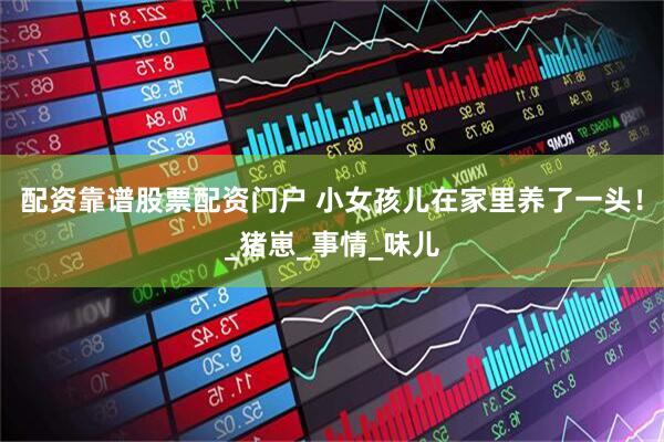 配资靠谱股票配资门户 小女孩儿在家里养了一头！_猪崽_事情_味儿