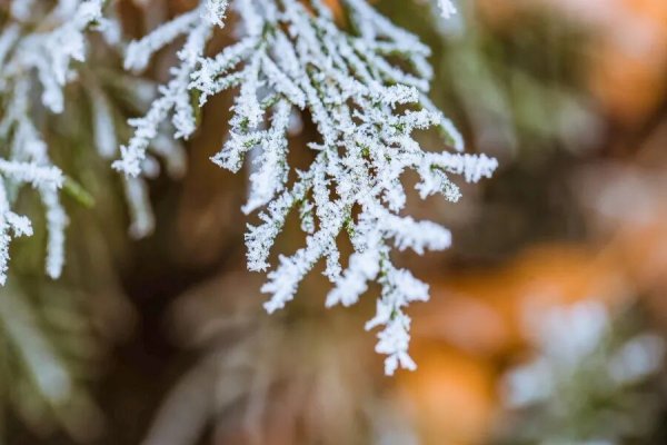 股票配资策略 口鼻咽干、皮肤掉屑……冬季太燥，4个方法巧应对